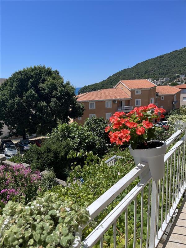 Apartmani Neda Bane Petrovac Exterior photo
