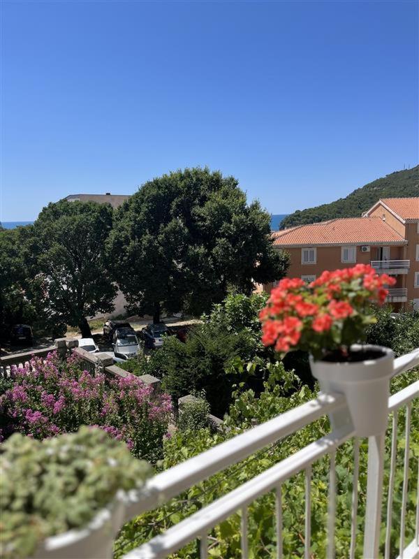Apartmani Neda Bane Petrovac Exterior photo